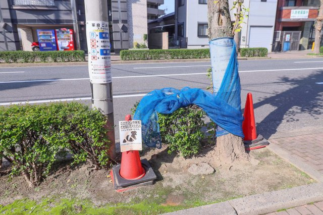 ダイナコート小倉下到津　2階のその他