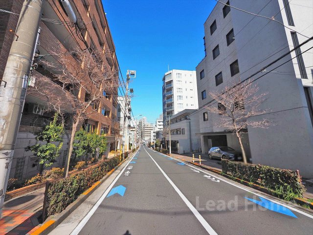 【その他】 | ライオンズマンション広尾南 | 前面道路