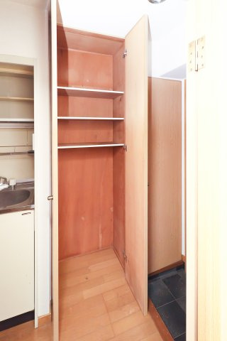 ダイナコート小倉下到津Ⅱ　2階の収納|現状優先