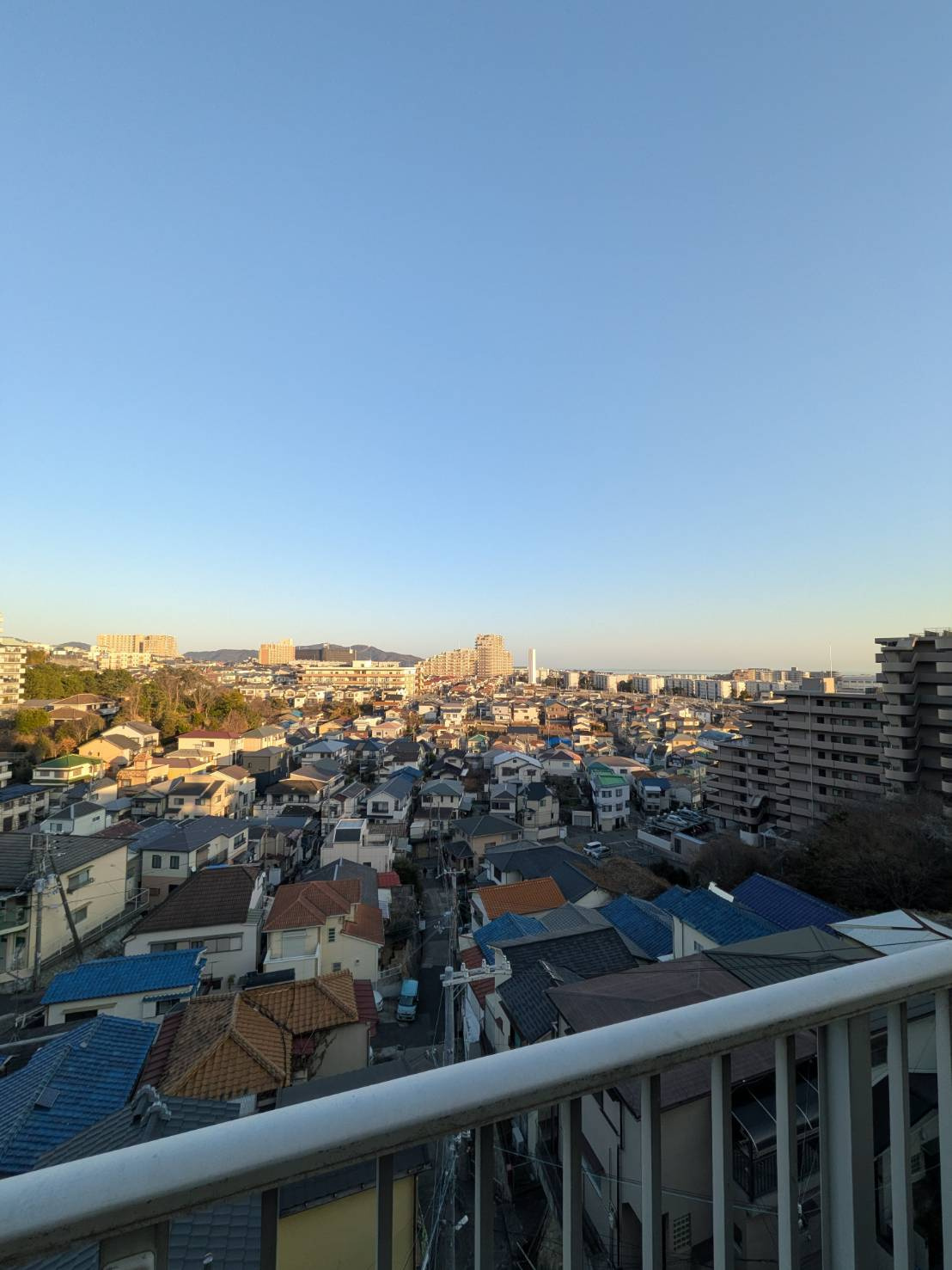 第三岩井ハイツの展望