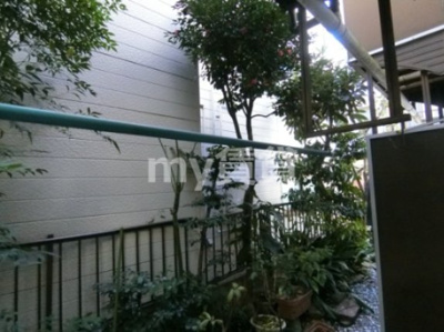 【展望】 | ビラージ榎本