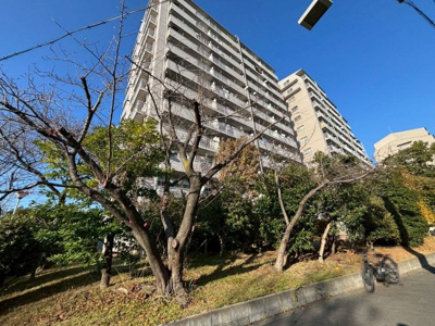 【外観】 | 南港ポートタウンうしお25号棟 | 周囲に高い建物が少なく開放感がございます♪