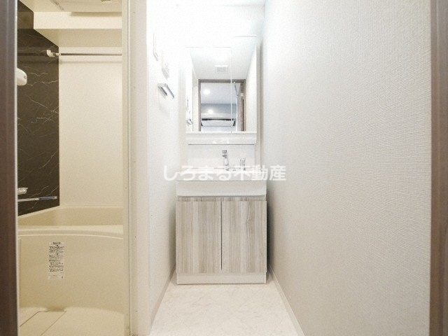 S-RESIDENCE天満Gracisの洗面所