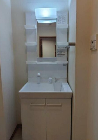 ノーブル九品寺の洗面所