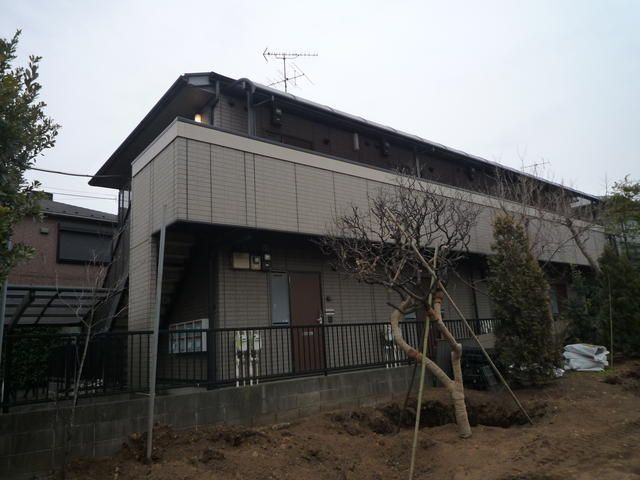 ビューラーの外観