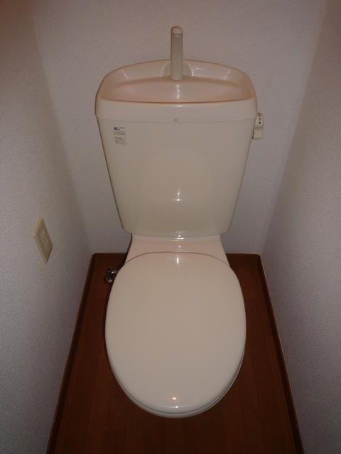 ビューラーのトイレ