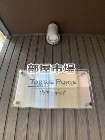 Tortue Porteのその他