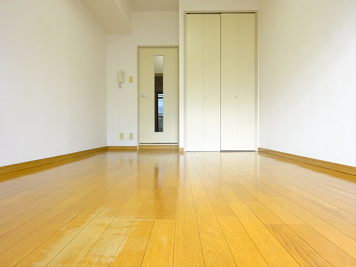 カオパレスNo20の居間・リビング