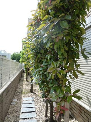 【その他共用部分】 | プチグランデ立石