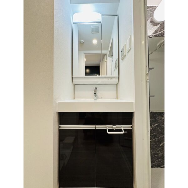 ディアレイシャス大須観音IIIの洗面所