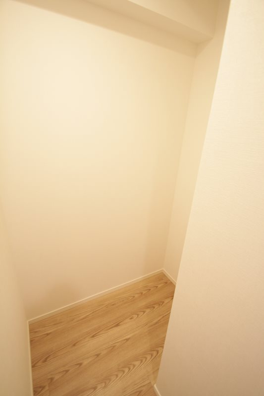 横浜市南区新川町２丁目の賃貸マンションの収納