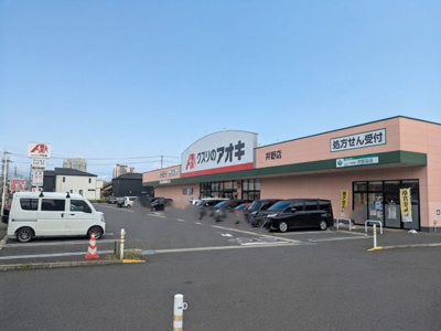 ドラッグストア