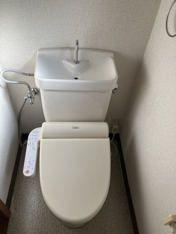 サングリーンハウスBのトイレ