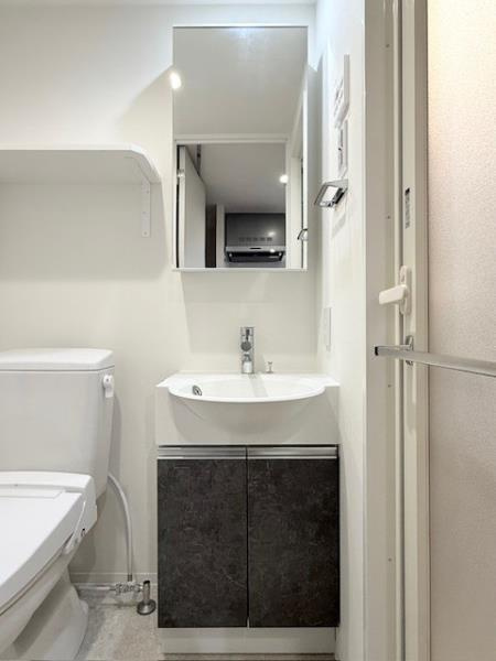 エレミ本蓮沼の洗面所