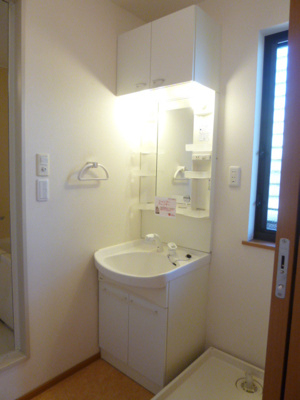 シャワー付き洗面台がある独立洗面所