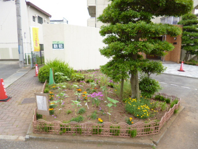 敷地内植栽