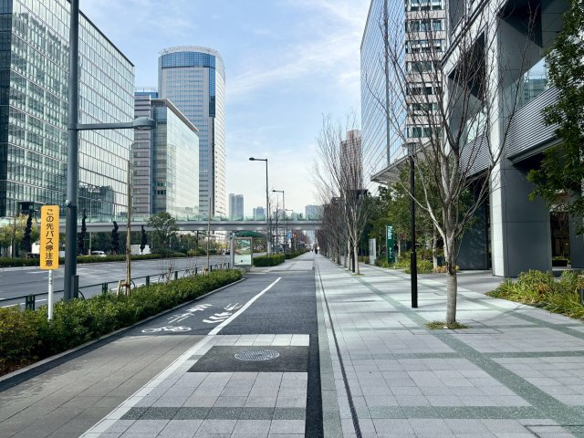 アーバンドックパークシティ豊洲タワーA棟の周辺