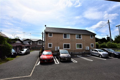 【その他】 | スプリング・ヒルＢ