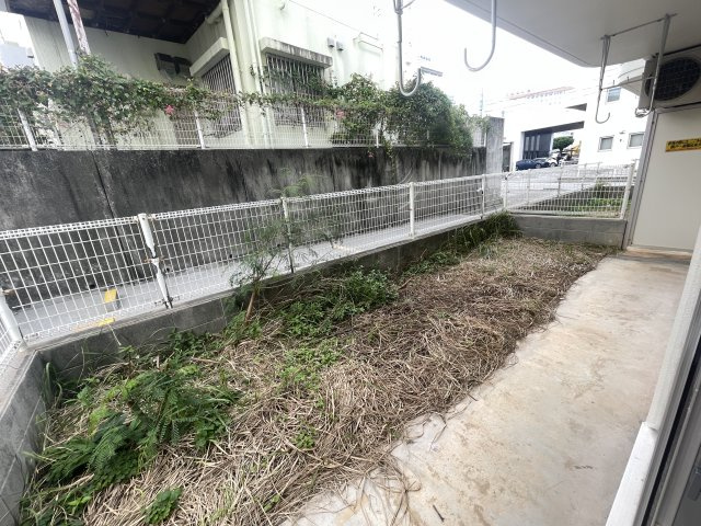 トレジャーハウスの庭