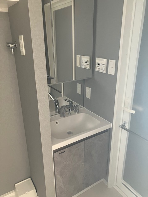 LUMEED赤羽NORTHの洗面所|ゆったりとスペースのある洗面所