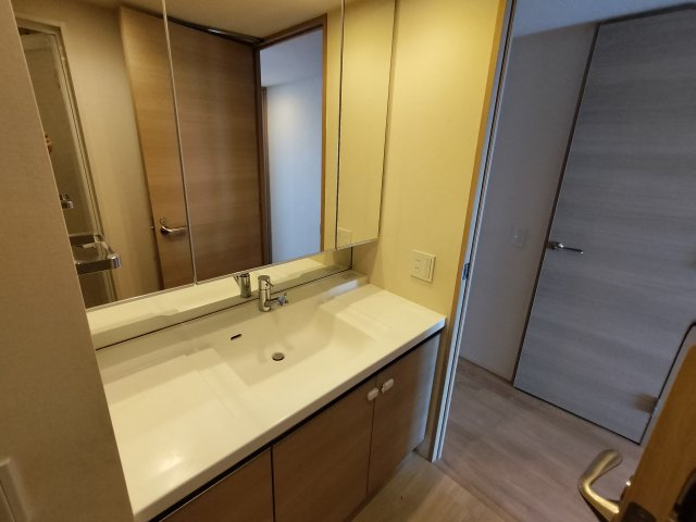 ブリリア草加グランスイートの洗面所|ゆったりとスペースのある洗面所