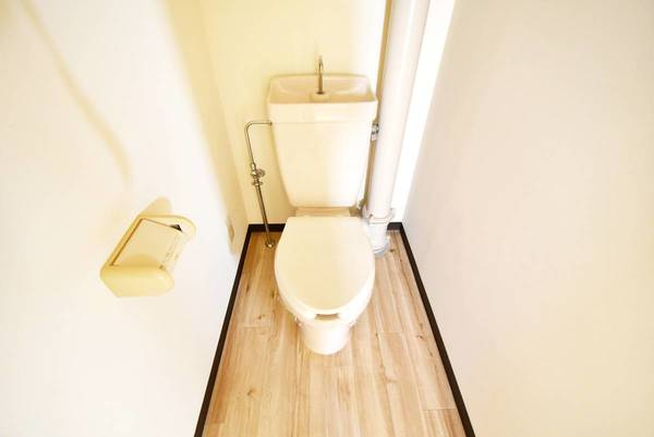 ビレッジハウス大谷5号棟のトイレ|ビレッジハウスの同一物件・同一タイプの間取りの写真です