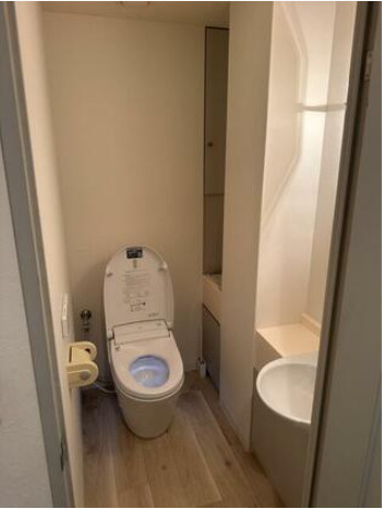 高知市九反田　開放的な眺望の中古マンションのトイレ|手洗いカウンター付きのトイレ。清潔感のある空間です