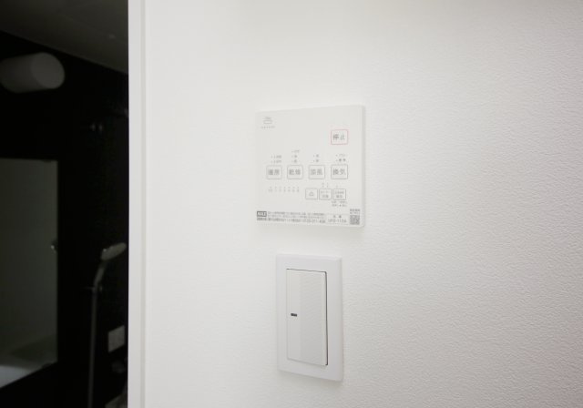 Warren shibataⅠのその他