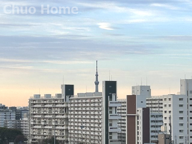 ボナハイツ中川3号棟の展望|手を伸ばせば、ふれることが出来そうな環境が、そのままインテリアになったような印象です。その豊かな眺望にふさわしい空間には、通風・採光にも優れ、心地よい光と風があふれています