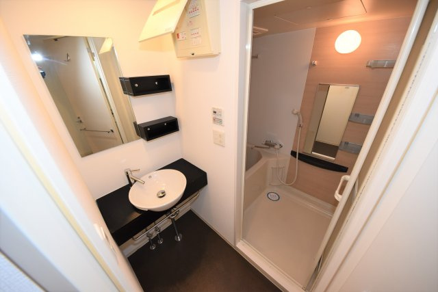 セレニテ本町エコートの洗面所