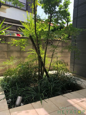 【庭】 | 植田山3丁目戸建貸家 | 中庭