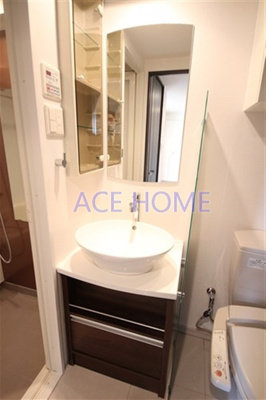 【洗面所】 | 旧プライムアーバン安堂寺