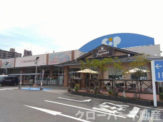 レオパレスオリーブの周辺