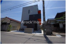 ミューズの画像