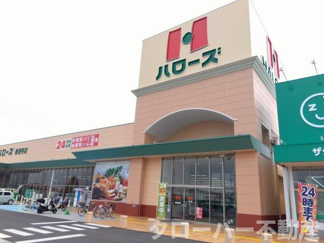 レオパレスブレッツァの周辺