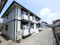 ティンカー・ベル　Ⅱの画像