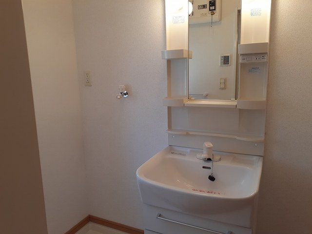 グレイスフル　ガーデンの洗面所