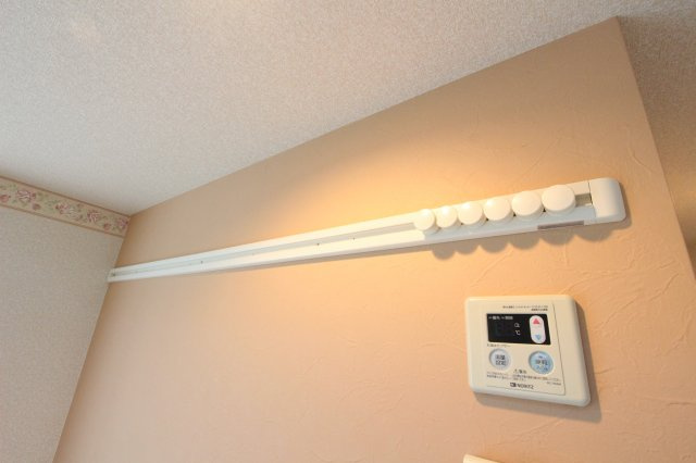 ユナイト山手ラパスの瞳のその他