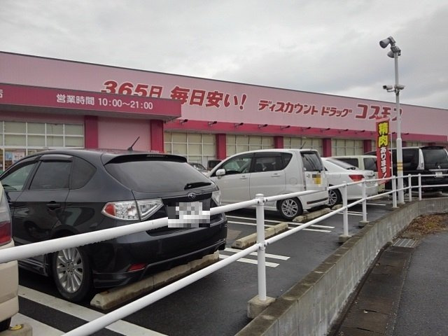 パークハイム柳ノ瀬の周辺|コスモス国分バイパス店まで1900m