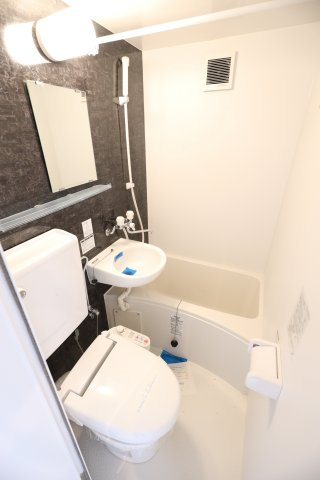 ユナイト藤棚エミールフランソワの浴室