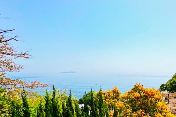 ヴィラ南熱海の展望