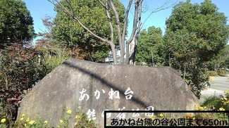 【周辺】