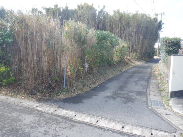 見物の外観