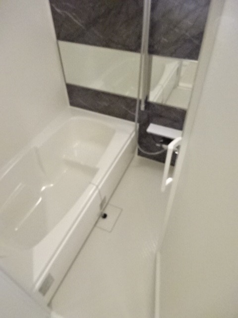 コリーナ　デュオの浴室