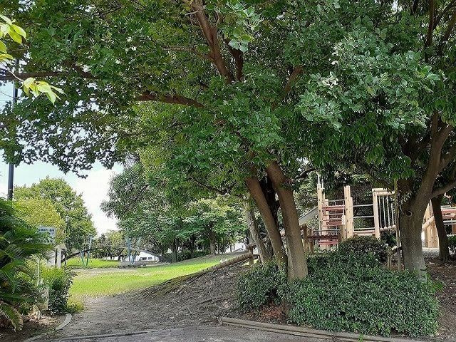 セロシア　雨池の周辺|雨池公園まで148m