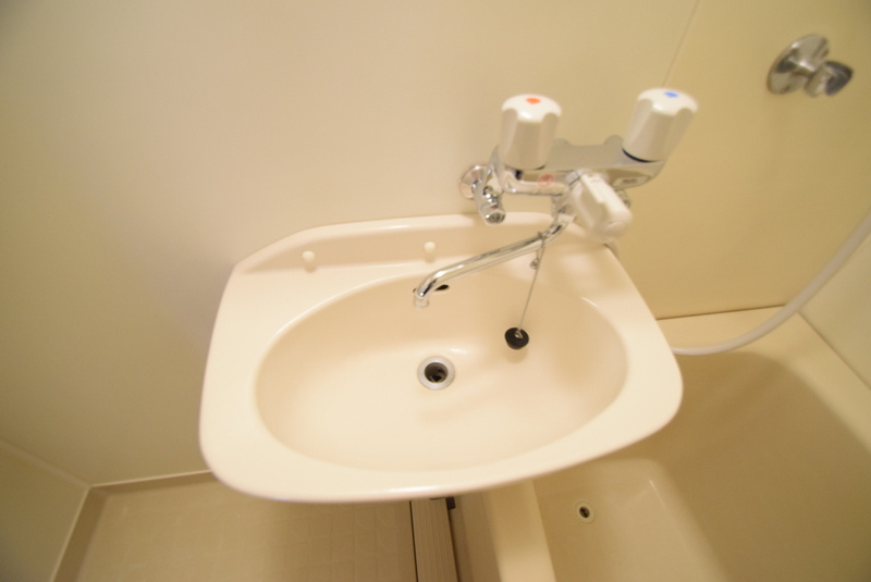 グリーンコーポの洗面所