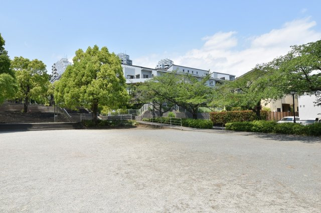 の-の画像