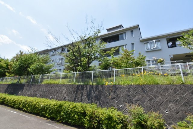 の-の画像