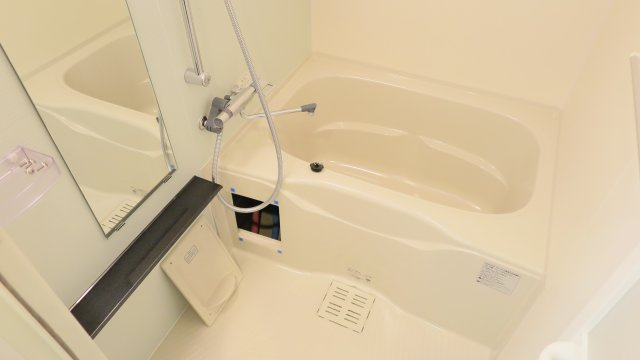 セオリー難波パレの浴室