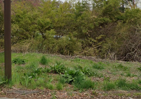 長野県小諸市　土地の外観